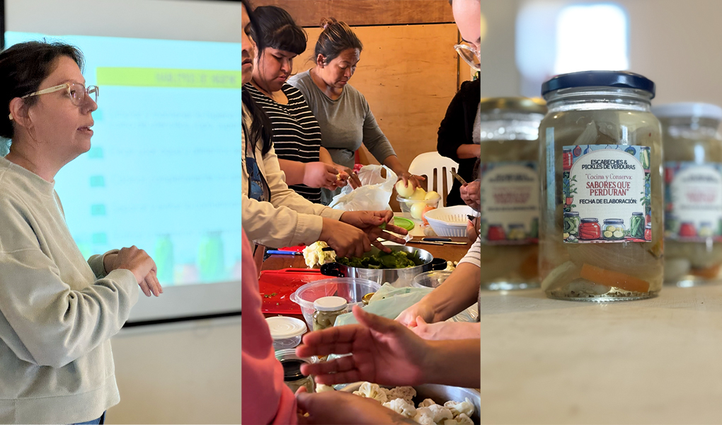 DEMOS lanza talleres para revertir la inseguridad alimentaria infantil.