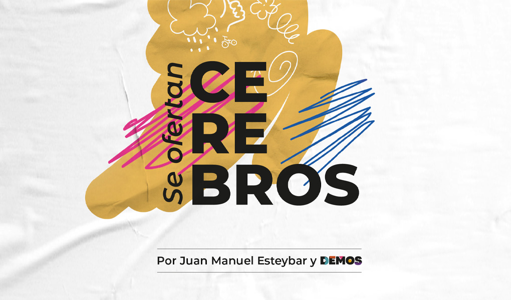 Ensayo | Se ofertan cerebros